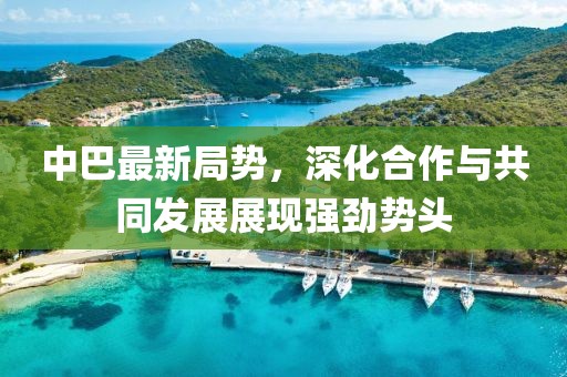 中巴最新局勢，深化合作與共同發(fā)展展現(xiàn)強(qiáng)勁勢頭
