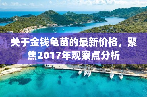關(guān)于金錢龜苗的最新價格，聚焦2017年觀察點分析