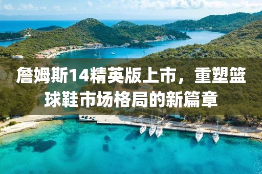 詹姆斯14精英版上市，重塑籃球鞋市場格局的新篇章