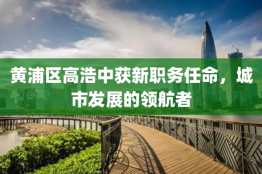 黃浦區(qū)高浩中獲新職務(wù)任命，城市發(fā)展的領(lǐng)航者