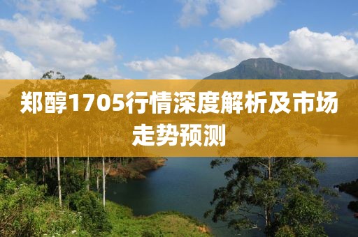 鄭醇1705行情深度解析及市場走勢預測