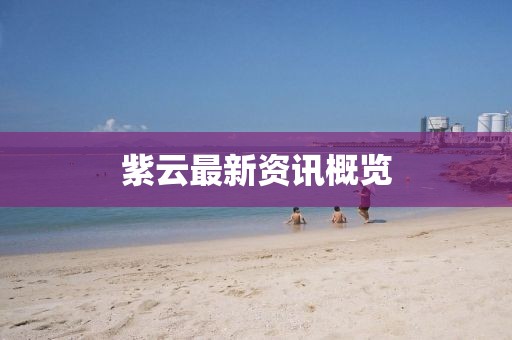 紫云最新資訊概覽