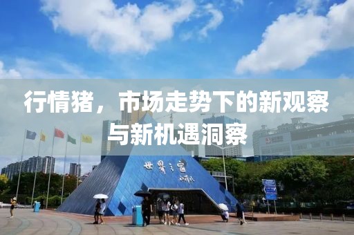 行情豬，市場(chǎng)走勢(shì)下的新觀察與新機(jī)遇洞察