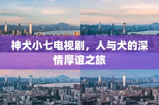 神犬小七電視劇，人與犬的深情厚誼之旅