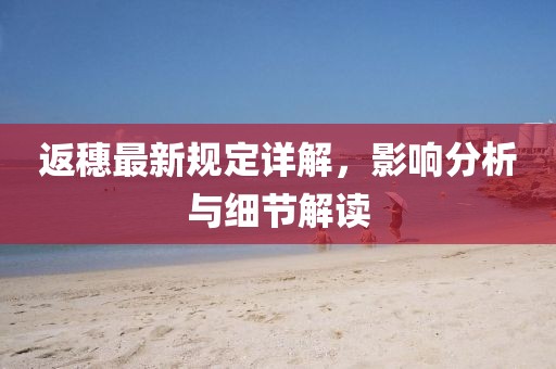 返穗最新規(guī)定詳解，影響分析與細(xì)節(jié)解讀