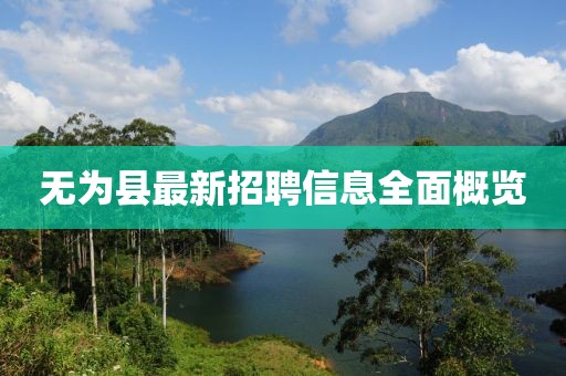 無(wú)為縣最新招聘信息全面概覽