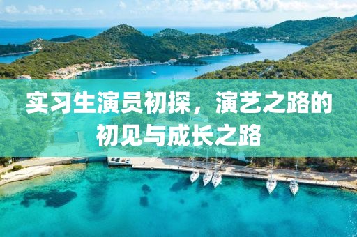 實(shí)習(xí)生演員初探，演藝之路的初見(jiàn)與成長(zhǎng)之路