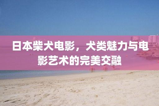 日本柴犬電影，犬類(lèi)魅力與電影藝術(shù)的完美交融