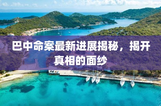 巴中命案最新進(jìn)展揭秘，揭開(kāi)真相的面紗
