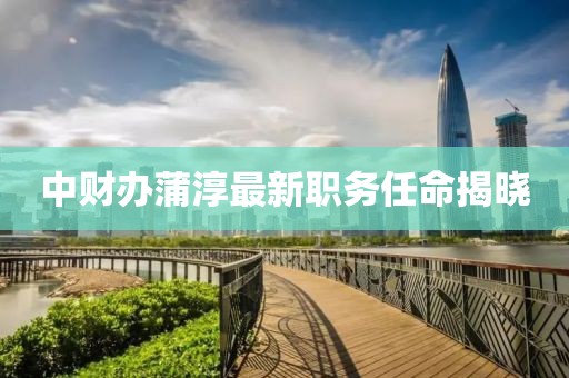 中財辦蒲淳最新職務(wù)任命揭曉