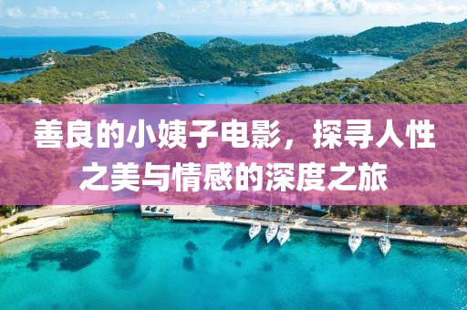 善良的小姨子電影，探尋人性之美與情感的深度之旅