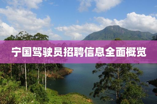寧國駕駛員招聘信息全面概覽