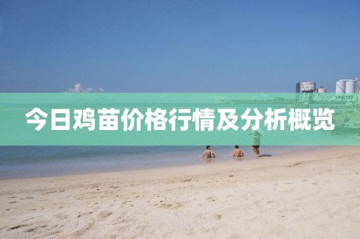 今日雞苗價格行情及分析概覽