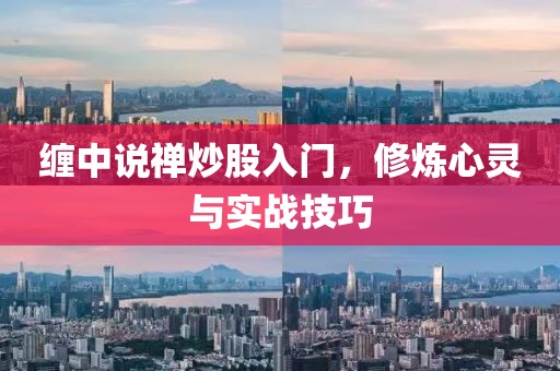 纏中說禪炒股入門，修煉心靈與實(shí)戰(zhàn)技巧
