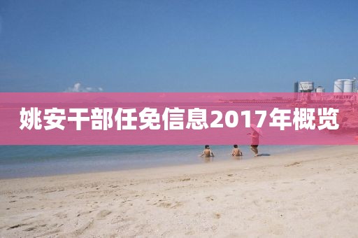 姚安干部任免信息2017年概覽