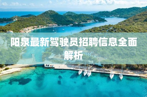 陽泉最新駕駛員招聘信息全面解析