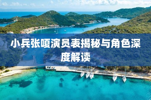 小兵張嗄演員表揭秘與角色深度解讀