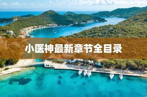 小醫(yī)神最新章節(jié)全目錄
