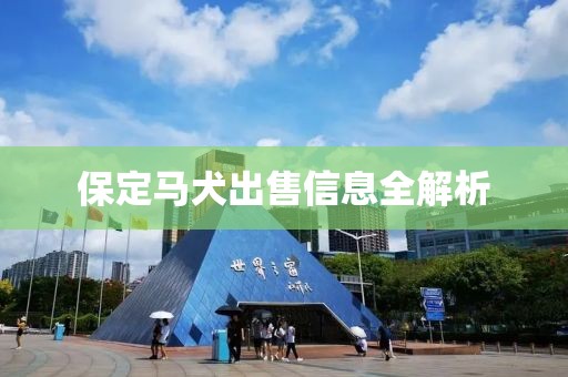 保定馬犬出售信息全解析