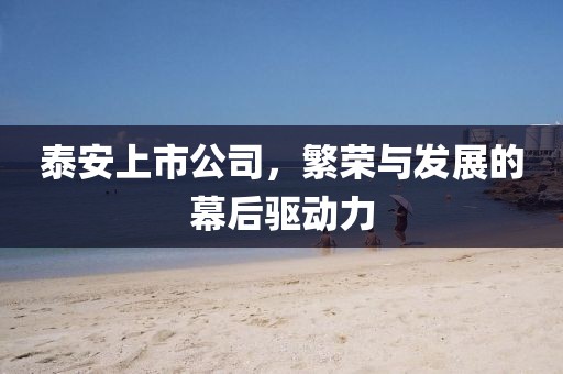 泰安上市公司，繁榮與發(fā)展的幕后驅(qū)動(dòng)力