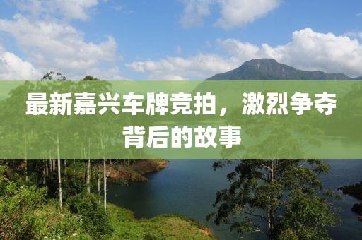 最新嘉興車牌競(jìng)拍，激烈爭(zhēng)奪背后的故事