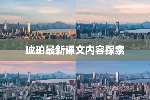 琥珀最新課文內(nèi)容探索