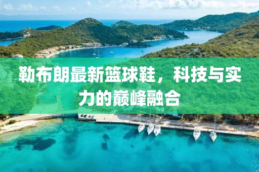 勒布朗最新籃球鞋，科技與實力的巔峰融合