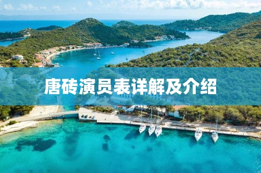 唐磚演員表詳解及介紹