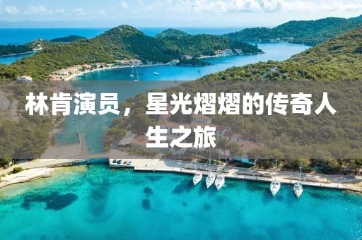 林肯演員，星光熠熠的傳奇人生之旅