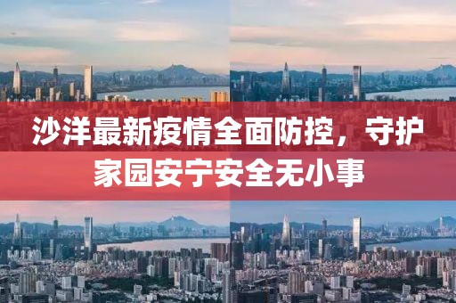 沙洋最新疫情全面防控，守護(hù)家園安寧安全無(wú)小事