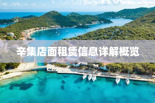辛集店面租賃信息詳解概覽