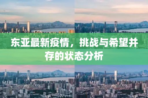 東亞最新疫情，挑戰(zhàn)與希望并存的狀態(tài)分析