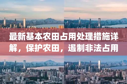最新基本農田占用處理措施詳解，保護農田，遏制非法占用