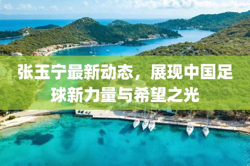 張玉寧最新動(dòng)態(tài)，展現(xiàn)中國(guó)足球新力量與希望之光