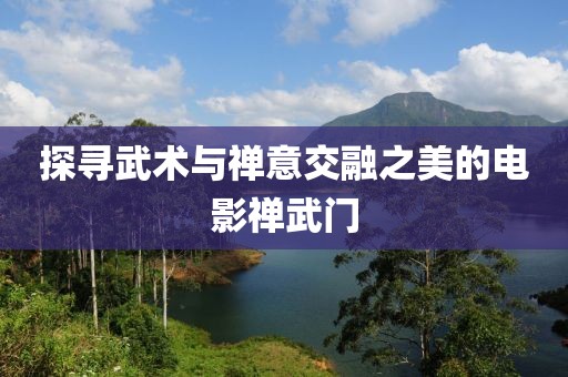 探尋武術(shù)與禪意交融之美的電影禪武門
