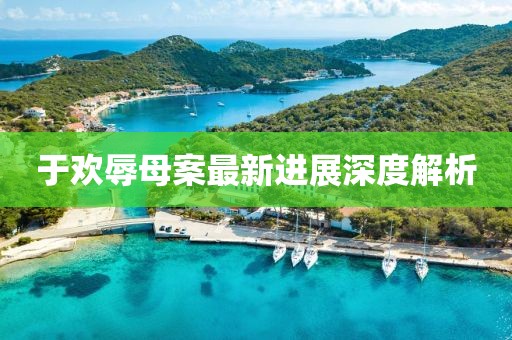于歡辱母案最新進展深度解析