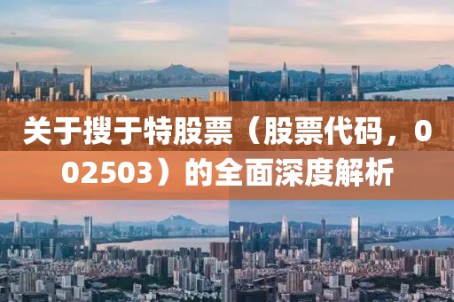 關(guān)于搜于特股票（股票代碼，002503）的全面深度解析