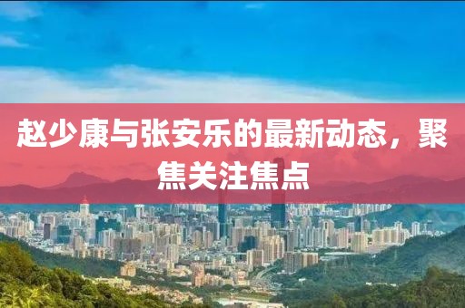 趙少康與張安樂的最新動(dòng)態(tài)，聚焦關(guān)注焦點(diǎn)