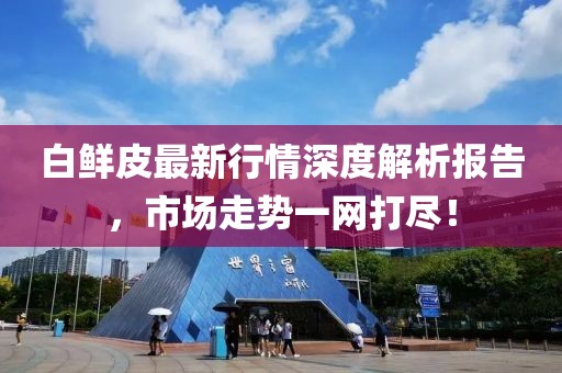 白鮮皮最新行情深度解析報告，市場走勢一網(wǎng)打盡！
