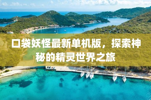 口袋妖怪最新單機(jī)版，探索神秘的精靈世界之旅
