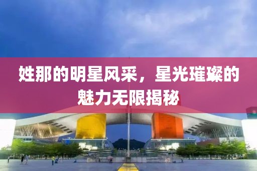 姓那的明星風(fēng)采，星光璀璨的魅力無限揭秘