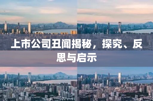 上市公司丑聞揭秘，探究、反思與啟示
