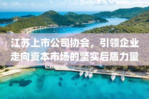江蘇上市公司協(xié)會(huì)，引領(lǐng)企業(yè)走向資本市場(chǎng)的堅(jiān)實(shí)后盾力量