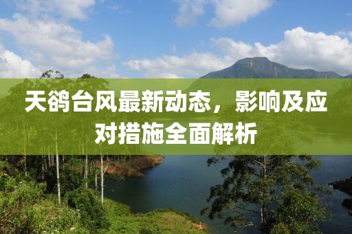 天鵒臺(tái)風(fēng)最新動(dòng)態(tài)，影響及應(yīng)對(duì)措施全面解析