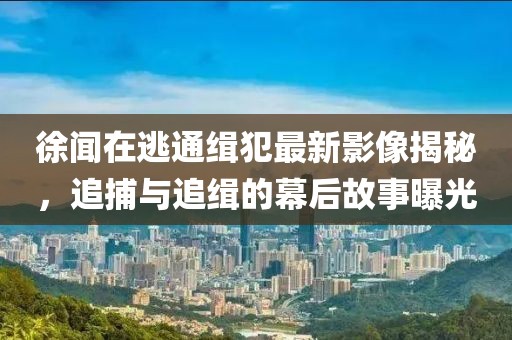 徐聞在逃通緝犯最新影像揭秘，追捕與追緝的幕后故事曝光