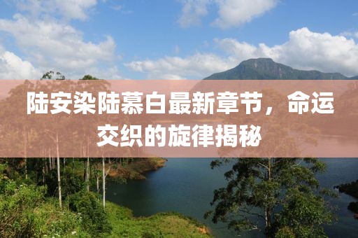 陸安染陸慕白最新章節(jié)，命運交織的旋律揭秘