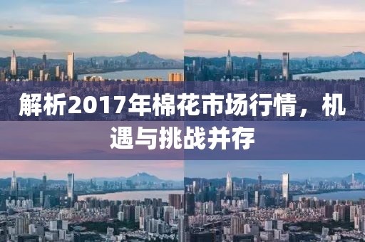 解析2017年棉花市場行情，機遇與挑戰(zhàn)并存