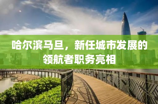 哈爾濱馬旦，新任城市發(fā)展的領(lǐng)航者職務(wù)亮相