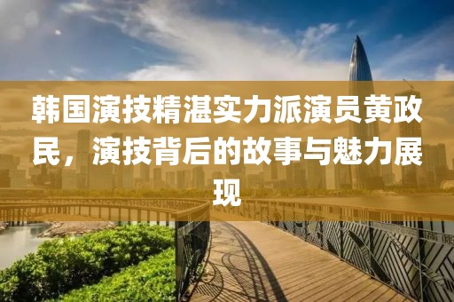 韓國(guó)演技精湛實(shí)力派演員黃政民，演技背后的故事與魅力展現(xiàn)