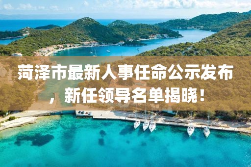 菏澤市最新人事任命公示發(fā)布，新任領(lǐng)導(dǎo)名單揭曉！